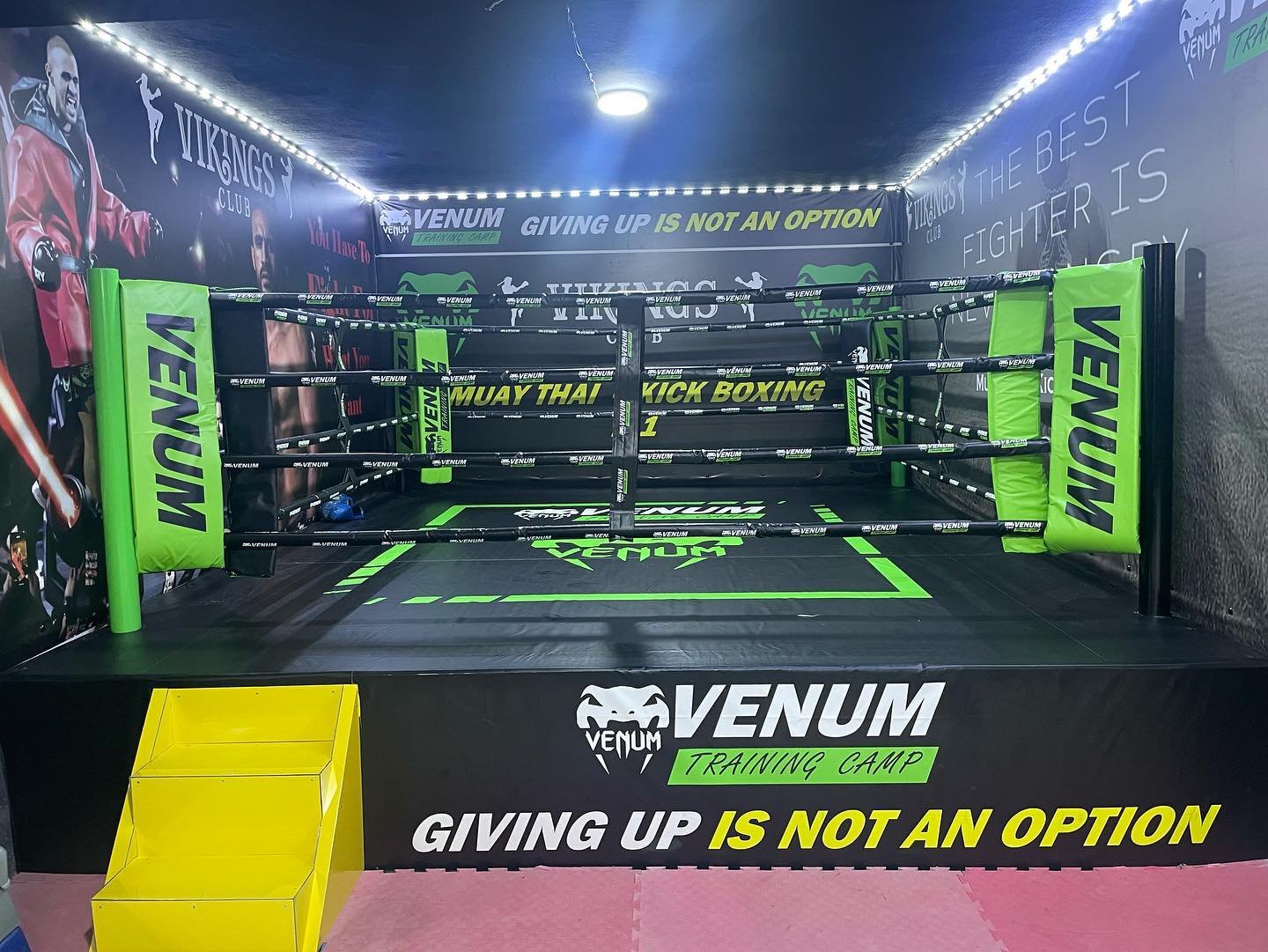 Machines de musculation haut de gamme